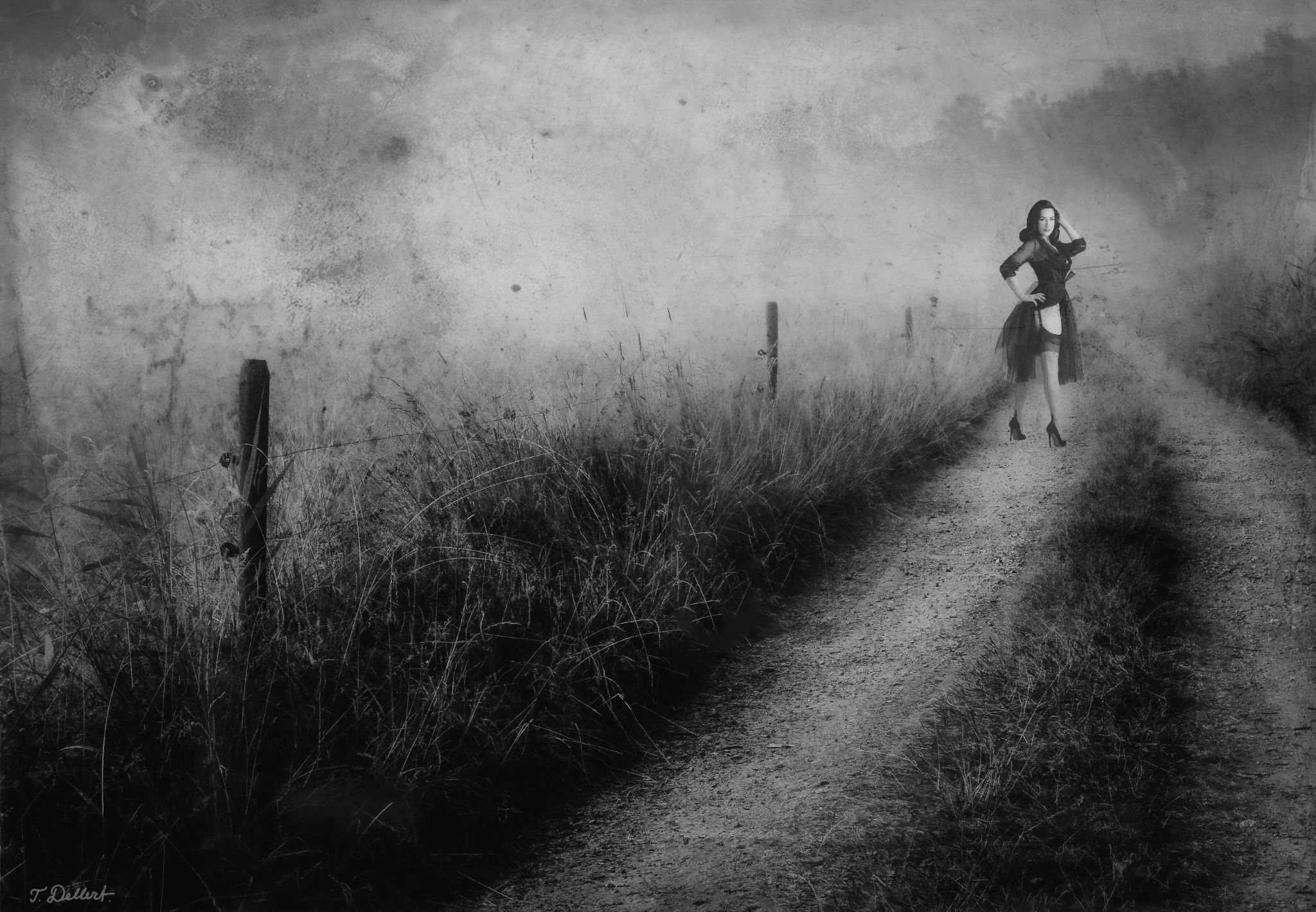 Dita in the Mist  copy 2